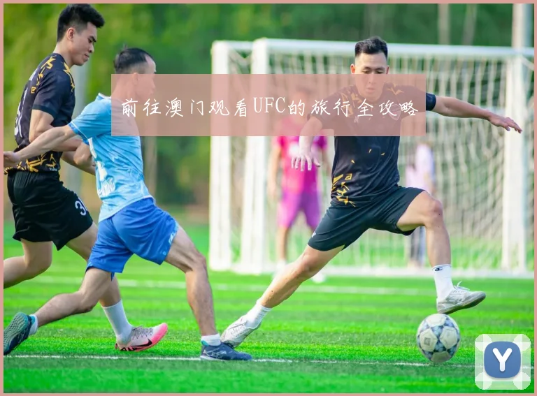 前往澳门观看UFC的旅行全攻略