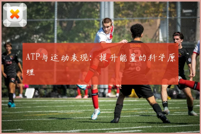 ATP与运动表现：提升能量的科学原理