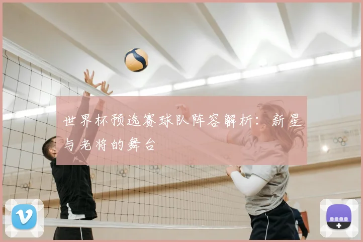 世界杯预选赛球队阵容解析:新星与老将的舞台