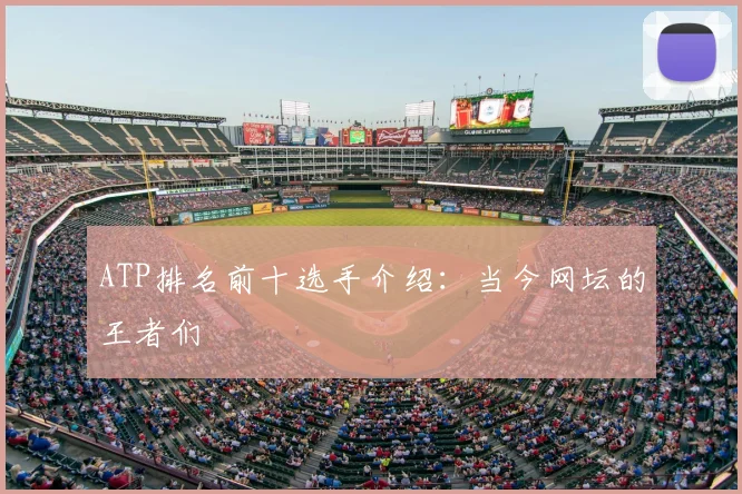 ATP排名前十选手介绍：当今网坛的王者们