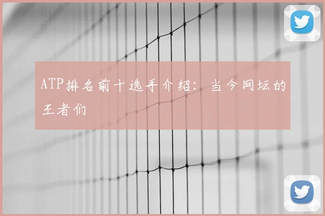 ATP排名前十选手介绍：当今网坛的王者们