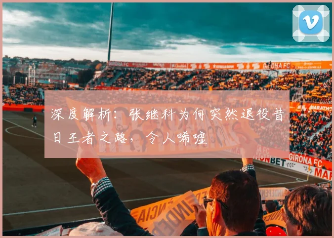 深度解析：张继科为何突然退役昔日王者之路，令人唏嘘