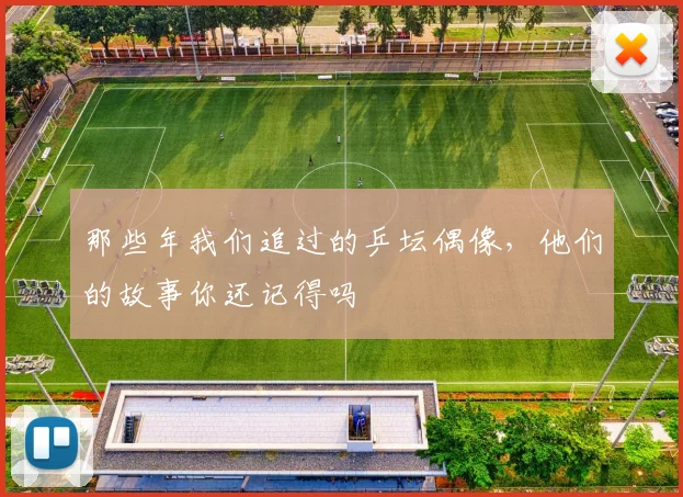 那些年我们追过的乒坛偶像，他们的故事你还记得吗