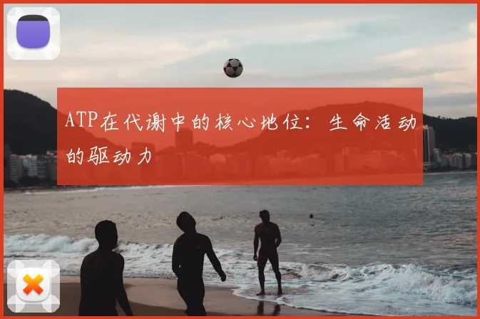 ATP在代谢中的核心地位：生命活动的驱动力