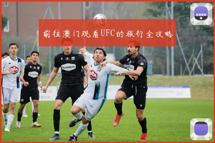 前往澳门观看UFC的旅行全攻略
