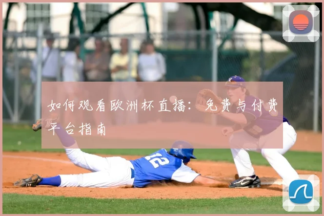 如何观看欧洲杯直播：免费与付费平台指南