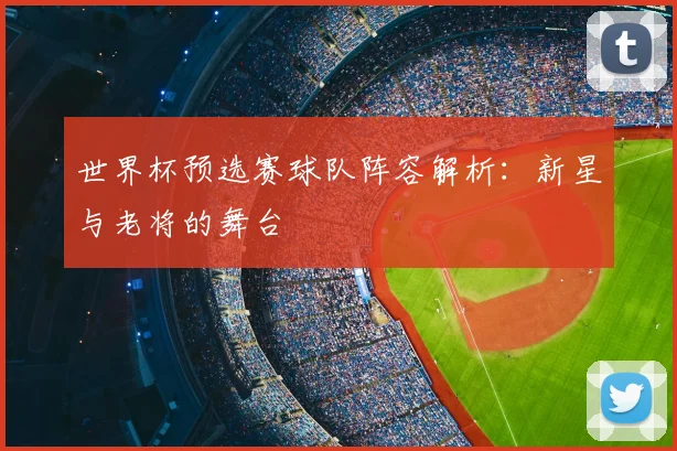 世界杯预选赛球队阵容解析:新星与老将的舞台