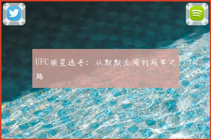 UFC明星选手：从默默无闻到冠军之路