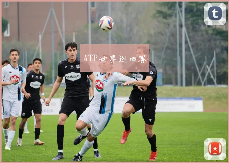 ATP世界巡回赛