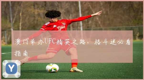 澳门举办UFC精英之路，格斗迷必看指南