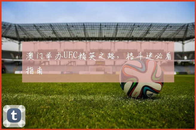 澳门举办UFC精英之路，格斗迷必看指南