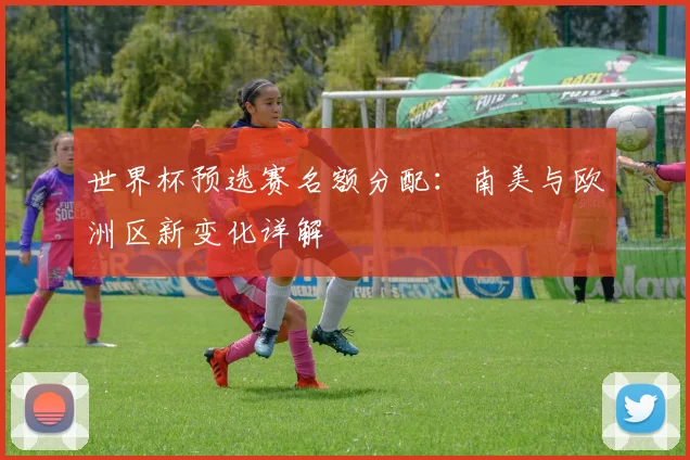 世界杯预选赛名额分配：南美与欧洲区新变化详解