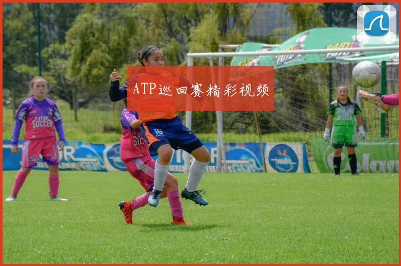 ATP巡回赛精彩视频