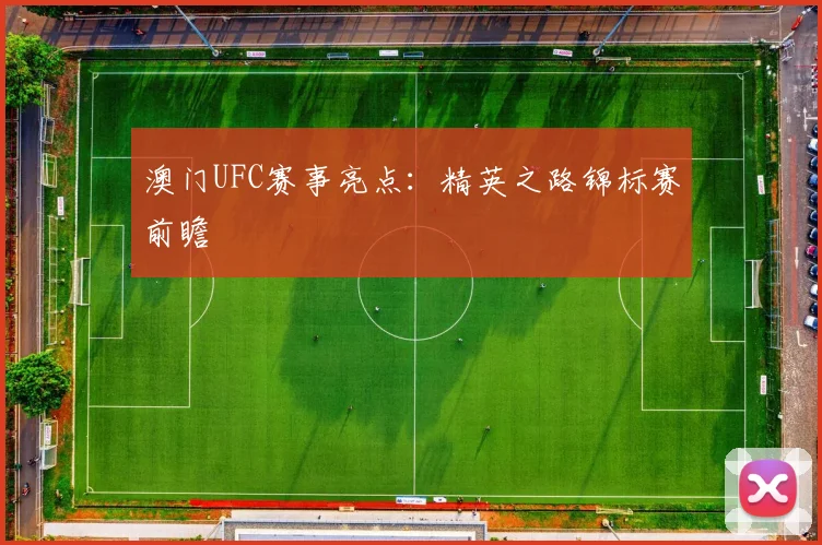 澳门UFC赛事亮点：精英之路锦标赛前瞻